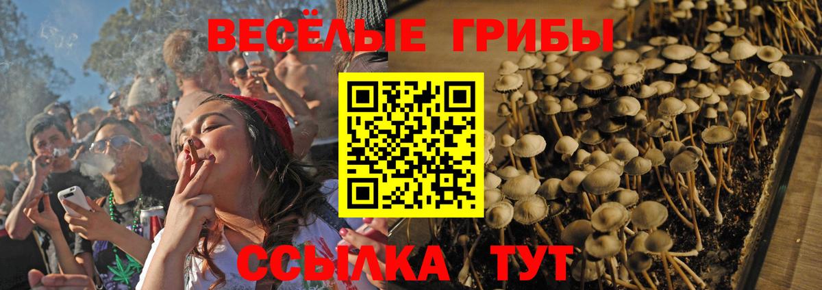 Екатеринбург  Псилоцибиновые грибы мицелий  Вход с VPN 